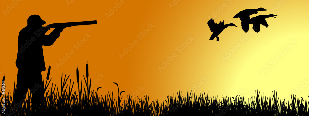 Wildlife duck animals hunting hunt landscape panorama vector illustration - Black silhouette of hunter with rifle gun in reed bog shoots at flying mallard ducks, morning sunrise sky Wildlife duck animals hunting hunt landscape panorama vector illustration - Black silhouette of hunter with rifle gun in reed bog shoots at flying mallard ducks, morning sunrise sky