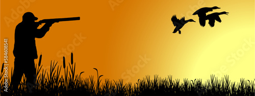 Wildlife duck animals hunting hunt landscape panorama vector illustration - Black silhouette of hunter with rifle gun in reed bog shoots at flying mallard ducks, morning sunrise sky