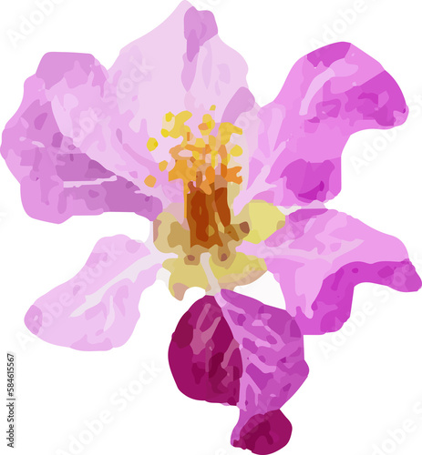 watercolor purple Thai queens flower bouquet wreath frame