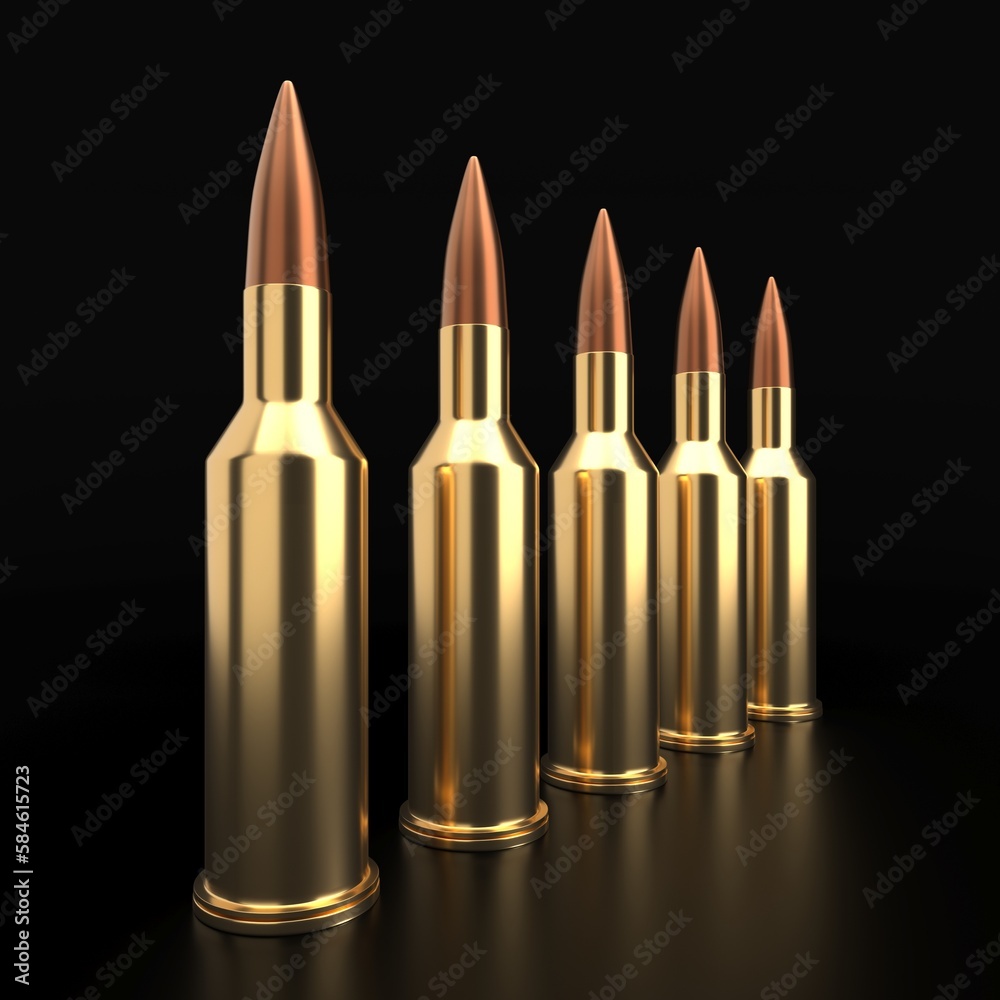 Gun rifle bullets or ammo Gun rifle bullets or ammo