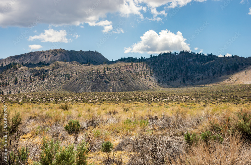 Mountainous Landscape at Inyo National Forest Mountainous Landscape at Inyo National Forest