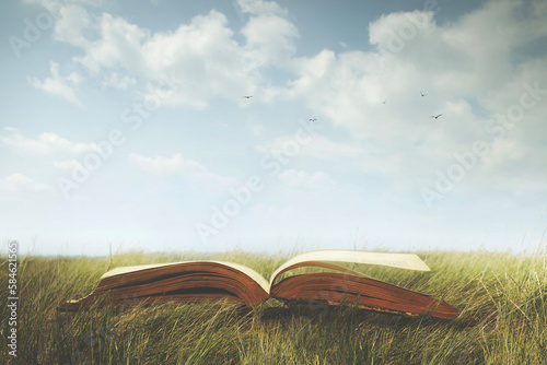 Fotografi surreal open book ready to be read in a wild meadow