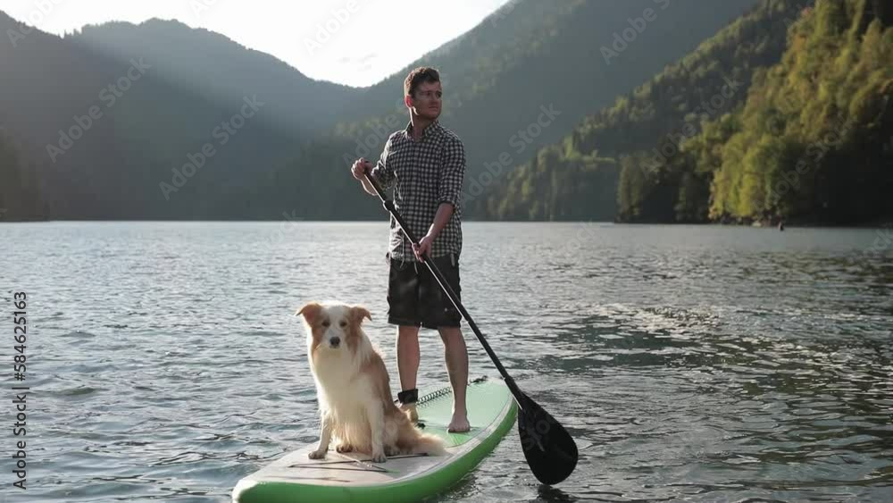 A man supping with his dog border collie on a lake in the mountains on SUP board in the sunlight. Playing sports with a dog, training dogs, socialization