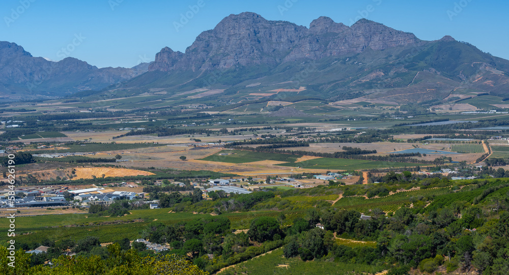 Wine growing area near the small industrial town of Paarl