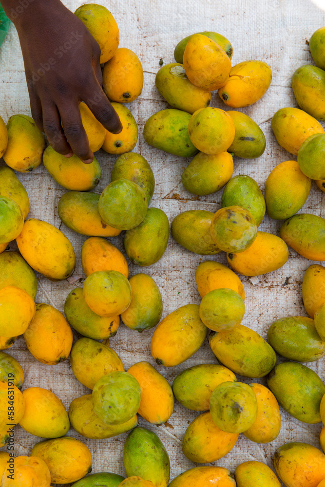 Mangoes sold in Dapaong, Togo.
