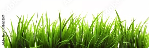 Lush Green Grass on White Background - Generative ai
