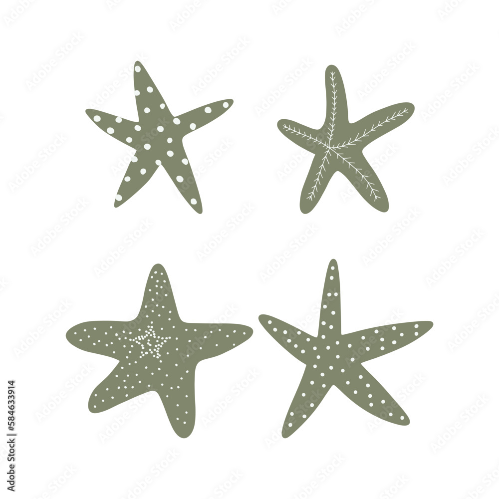 Starfish. Atlantic star. Marine Animal Vector illustration on white background.