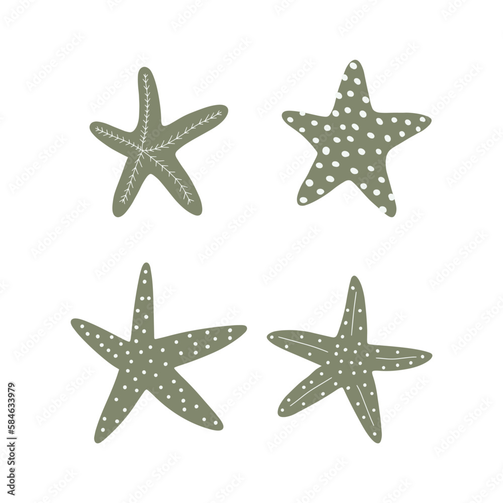 Starfish. Atlantic star. Marine Animal Vector illustration on white background.