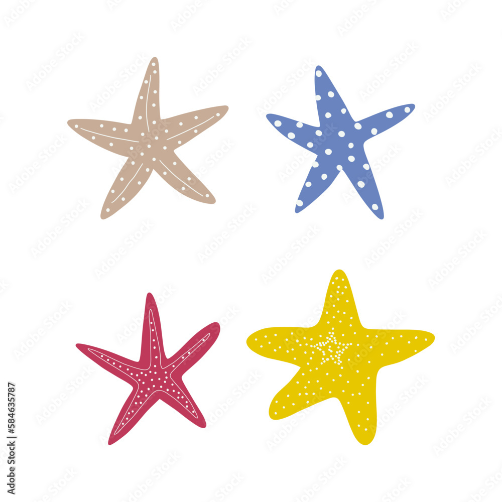 Starfish. Atlantic star. Marine Animal Vector illustration on white background. Starfish. Atlantic star. Marine Animal Vector illustration on white background.