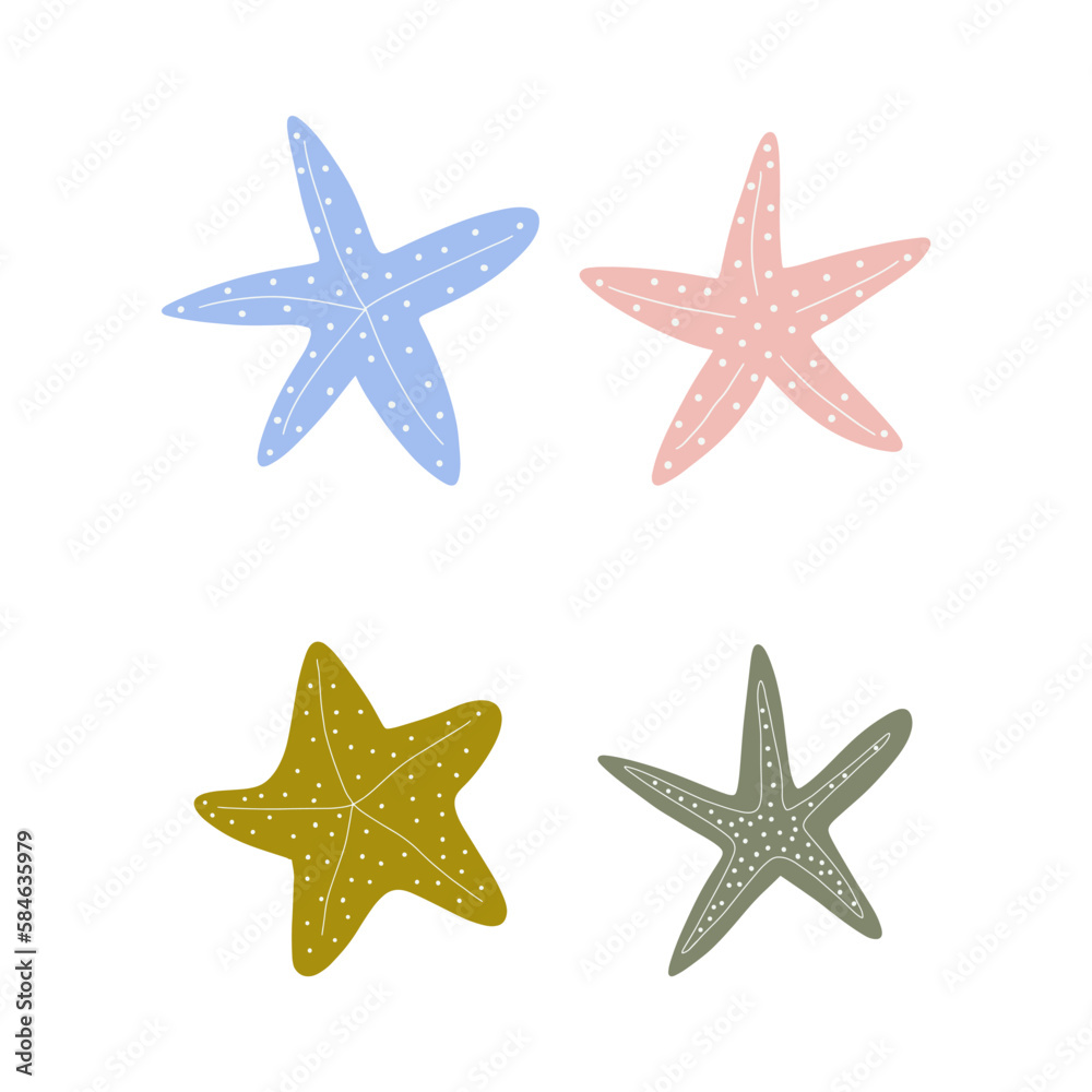 Starfish. Atlantic star. Marine Animal Vector illustration on white background.