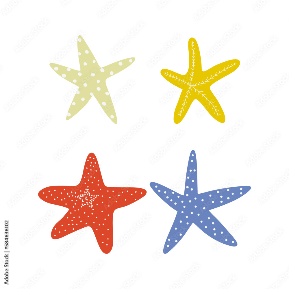 Starfish. Atlantic star. Marine Animal Vector illustration on white background.