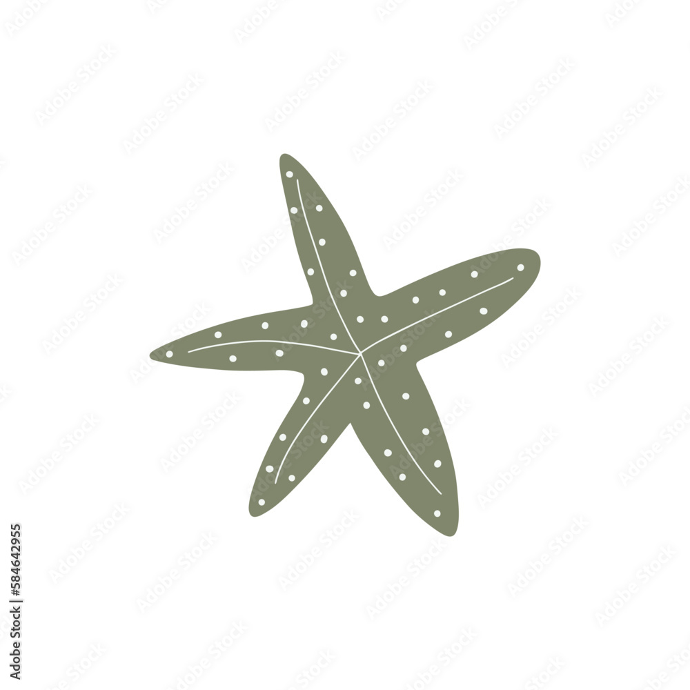 Starfish. Atlantic star. Marine Animal Vector illustration on white background. Starfish. Atlantic star. Marine Animal Vector illustration on white background.