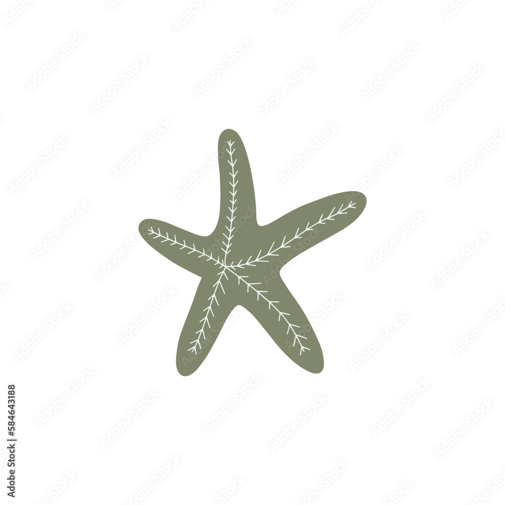 Starfish. Atlantic star. Marine Animal Vector illustration on white background. Starfish. Atlantic star. Marine Animal Vector illustration on white background.