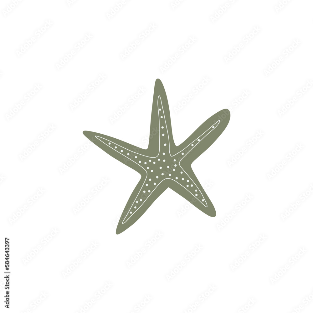 Starfish. Atlantic star. Marine Animal Vector illustration on white background. Starfish. Atlantic star. Marine Animal Vector illustration on white background.