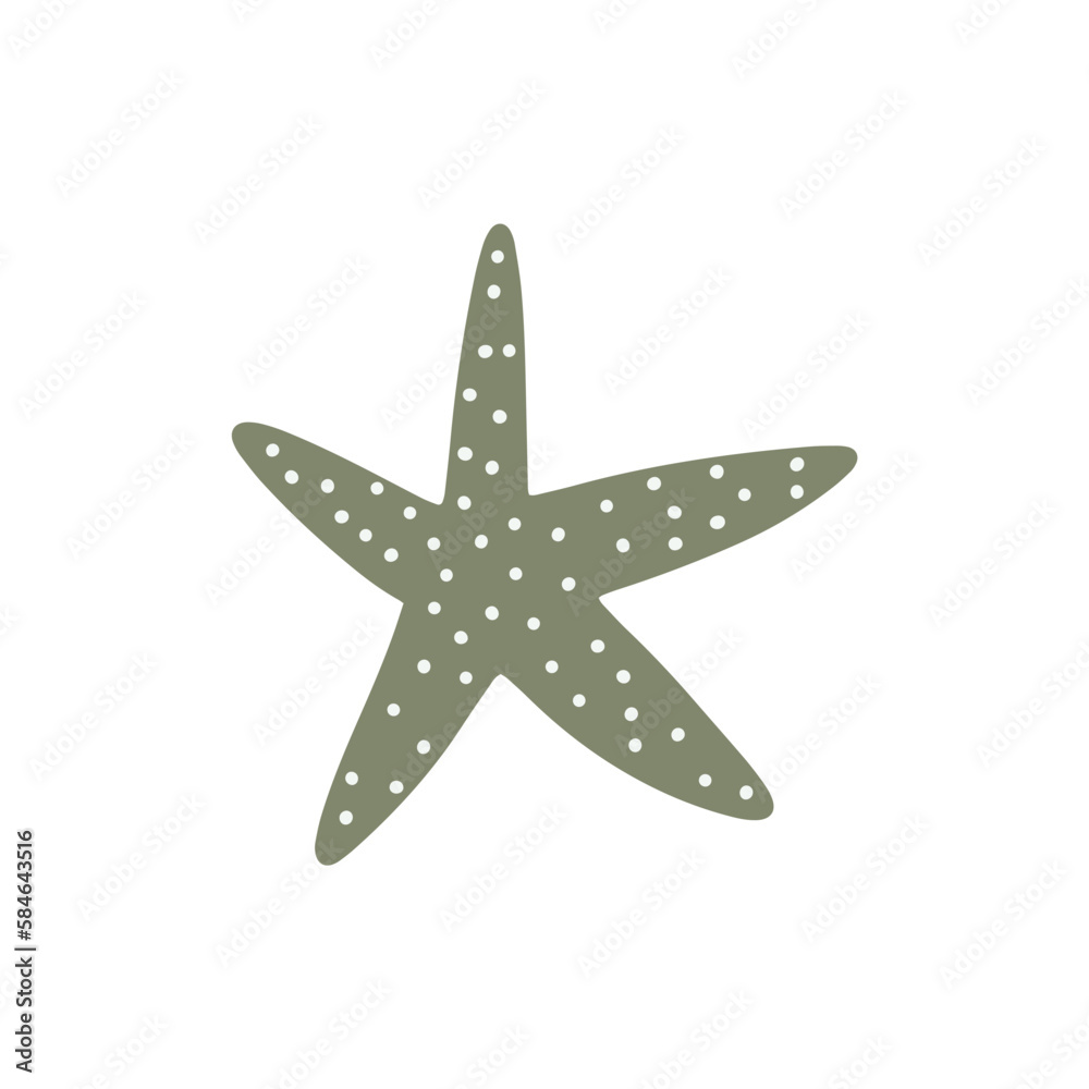 Starfish. Atlantic star. Marine Animal Vector illustration on white background. Starfish. Atlantic star. Marine Animal Vector illustration on white background.
