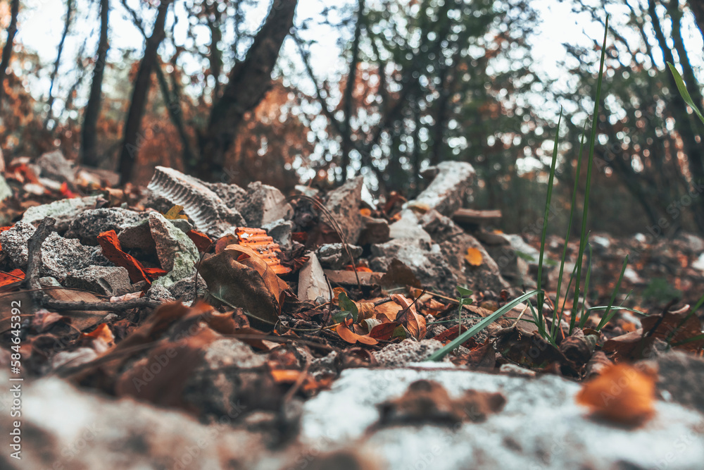 Low angle view of rubble of large concrete blocks in the woods. Concept of environmental issues, industrial. Copy space. Low angle view of rubble of large concrete blocks in the woods. Concept of environmental issues, industrial. Copy space.