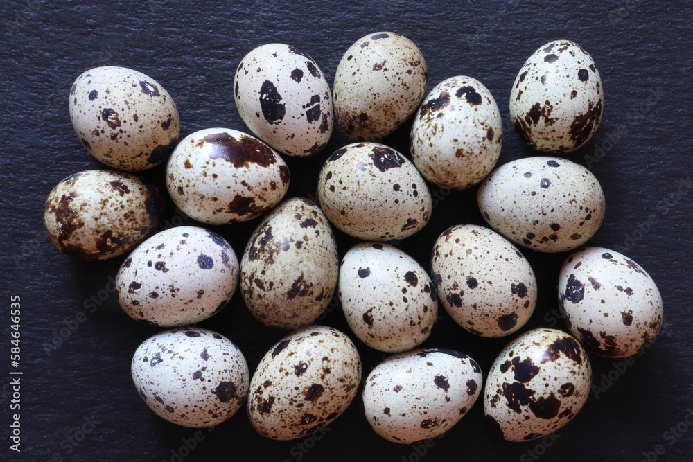Photography of quail eggs on slate for food illustrations Photography of quail eggs on slate for food illustrations