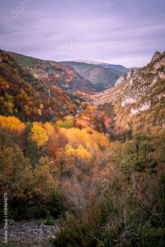 autumn landscape in the mountains