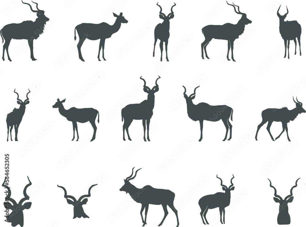 Kudu Silhouette, Kudu Horn Silhouette, Antlers Silhouette, Kudu Head