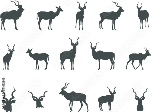 Kudu Silhouette, Kudu Horn Silhouette, Antlers Silhouette, Kudu Head, Kudu SVG , Kudu Head Silhouettes photo