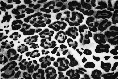 Beautiful leopard Black and white Animal print background texture