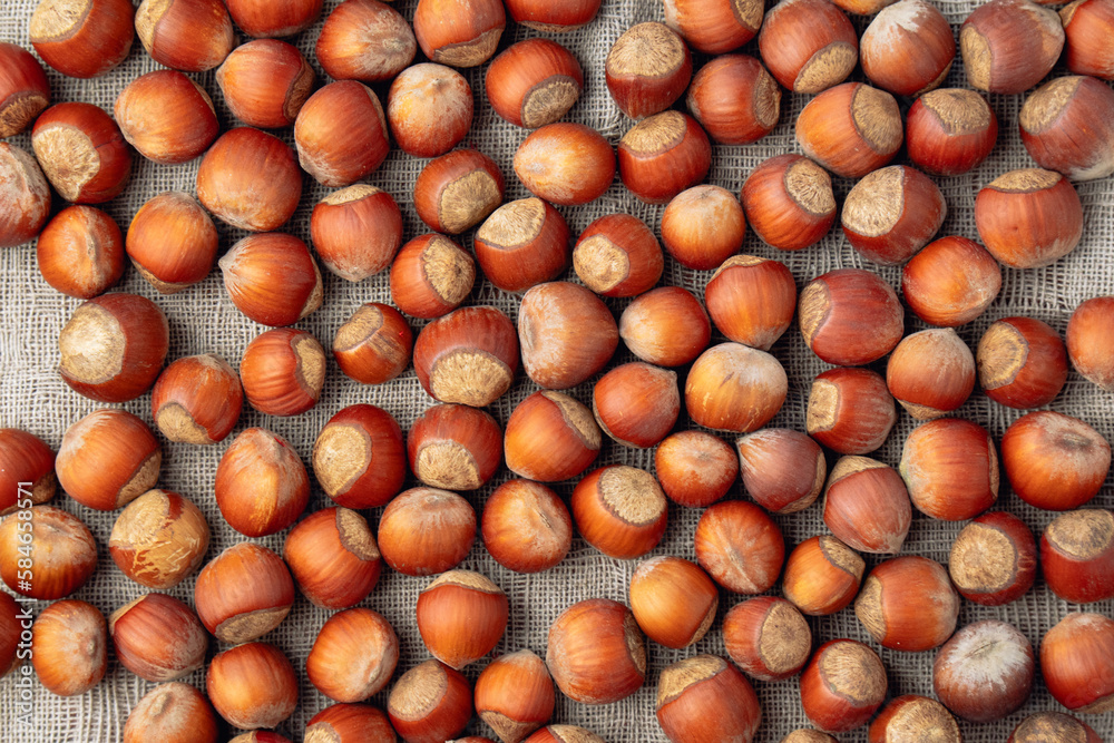 Hazelnuts on a linen napkin background. Organic hazelnut. Flat lay. Texture Hazelnuts on a linen napkin background. Organic hazelnut. Flat lay. Texture