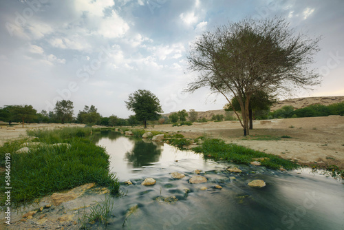 Schilderij op canvas Trees inside the Lake, Wadi Hanifah