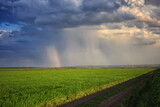 Rainbow over green field after rain, country road, calm countryside