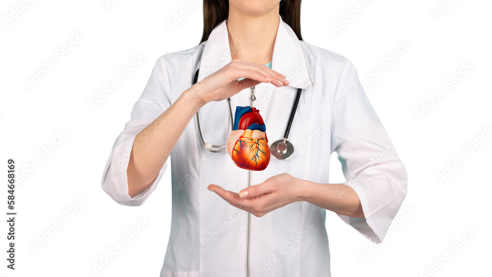 Heart health concept. Medical doctor hands holding human heart, cropped, collage Heart health concept. Medical doctor hands holding human heart, cropped, collage