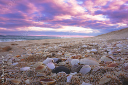 Shelly beach at Lakes Entrance, Victoria. photo