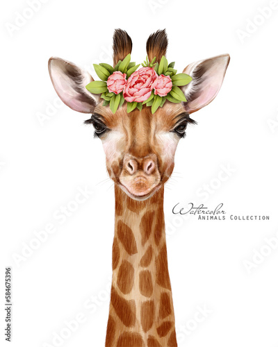Canvas Print Baby giraffe