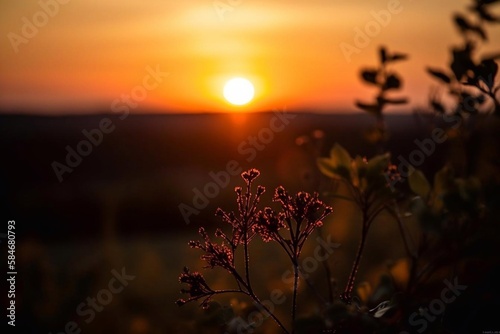 Beautiful sunset landscape. AI Generated © pavlofox