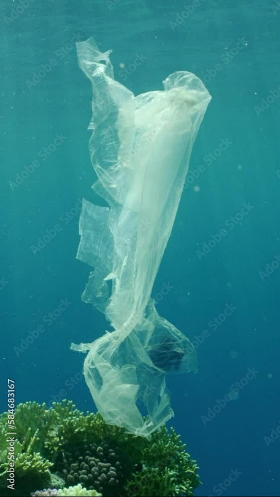 Vertical video, Plastic bag drifts under surface of Ocean in bright ...