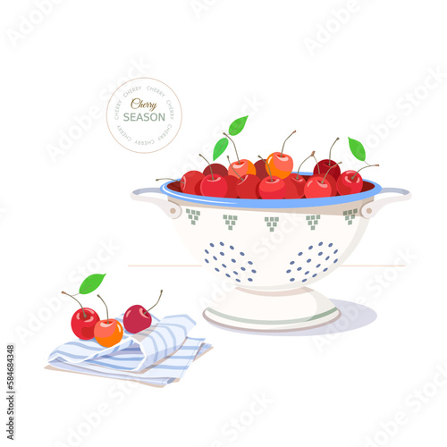 Ripe red cherries in metal enameled colander, handful of cherries on striped linen towel. Printed text of cherry season. Cute vector garden illustration of harvest at country house. 