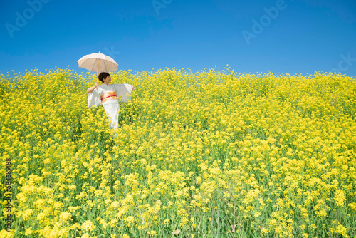 Japanese woman in a beautiful yellow flowers field