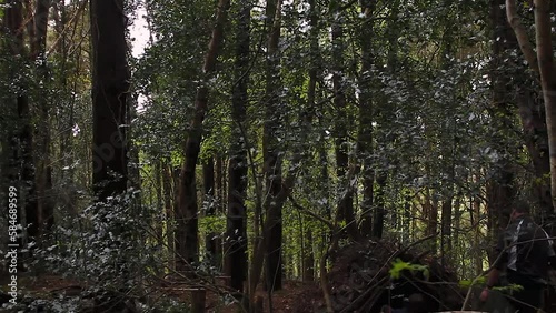 Wallpaper Mural Getting ready to sleep in a temporary shelter in the forest Torontodigital.ca