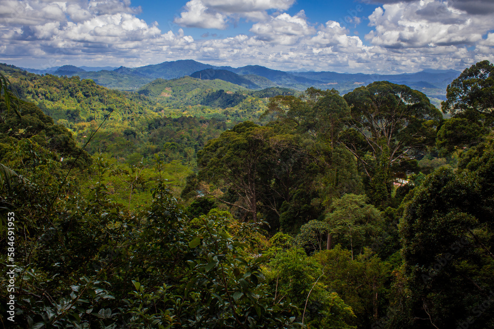 View of rainforest around Poring, Kinabalu National Park, Sabah, Malaysia