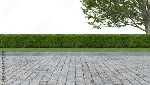 Realistic road side with hedge and tree. 3d rendering of isolated objects.