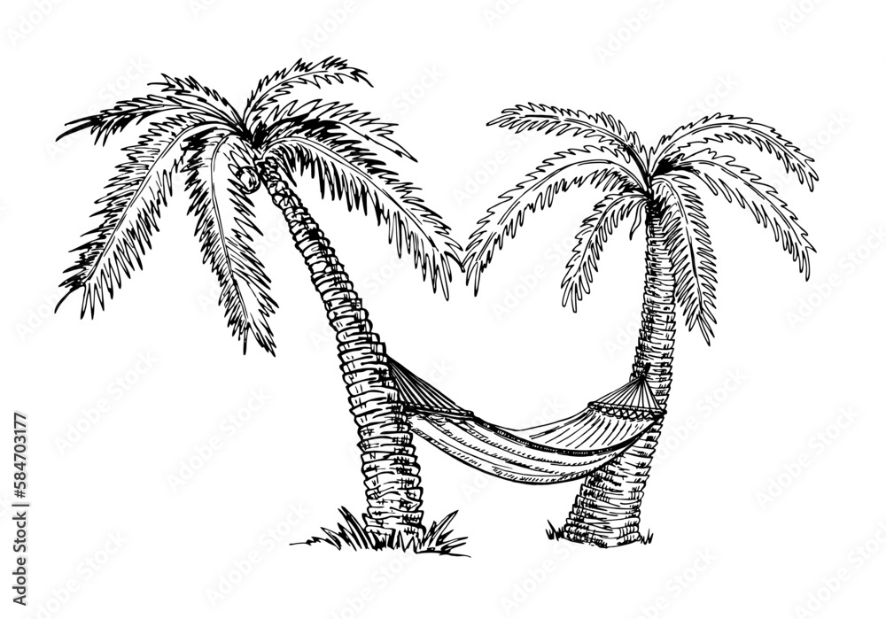 Hammock between palm trees. Sketch. Vector hand drawn sketch landscape illustration. Hand draw Summer beach vacation design elements. Concept of summer holidays, rest.
