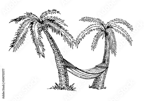 Hammock between palm trees. Sketch. Vector hand drawn sketch landscape illustration. Hand draw Summer beach vacation design elements. Concept of summer holidays, rest.