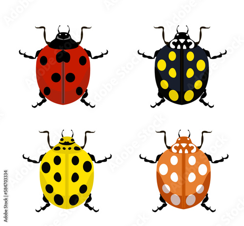 Ladybug. Insects nature bugs vector illustrations of cartoon red, yellow and black ladybugs.