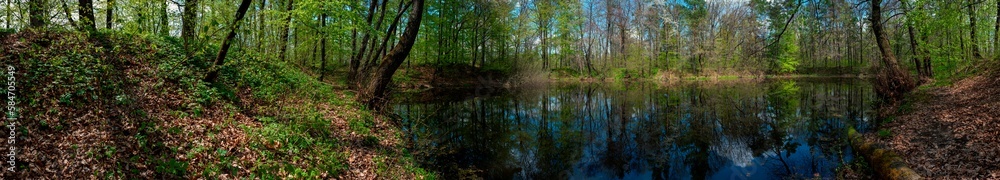 Panorama of forest lakes in spring, young leaves and freshly blossomed buds of trees and shrubs