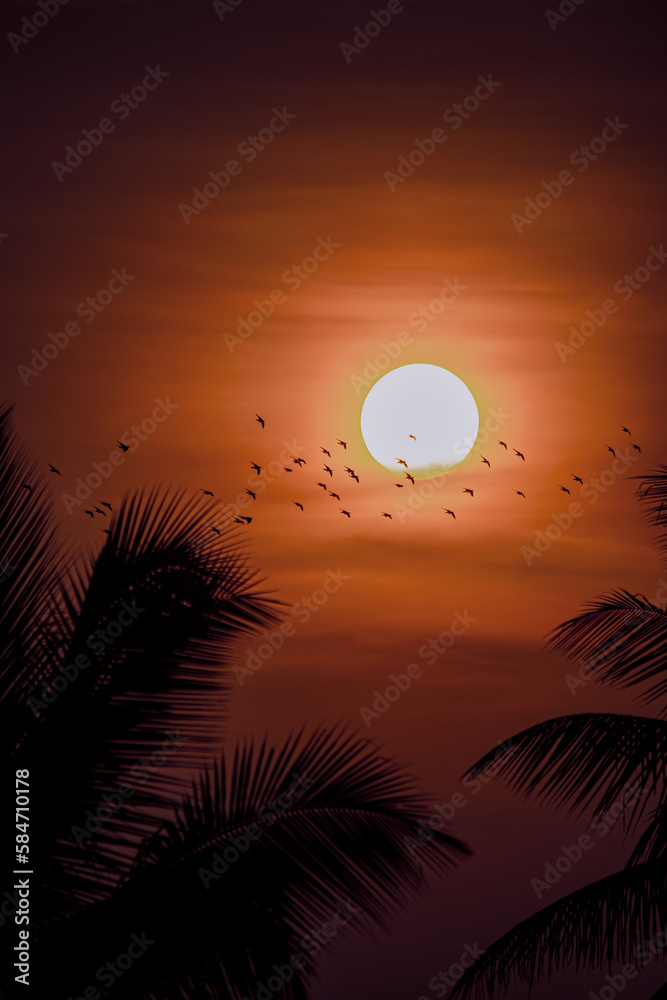 Obraz premium sunset over the sea