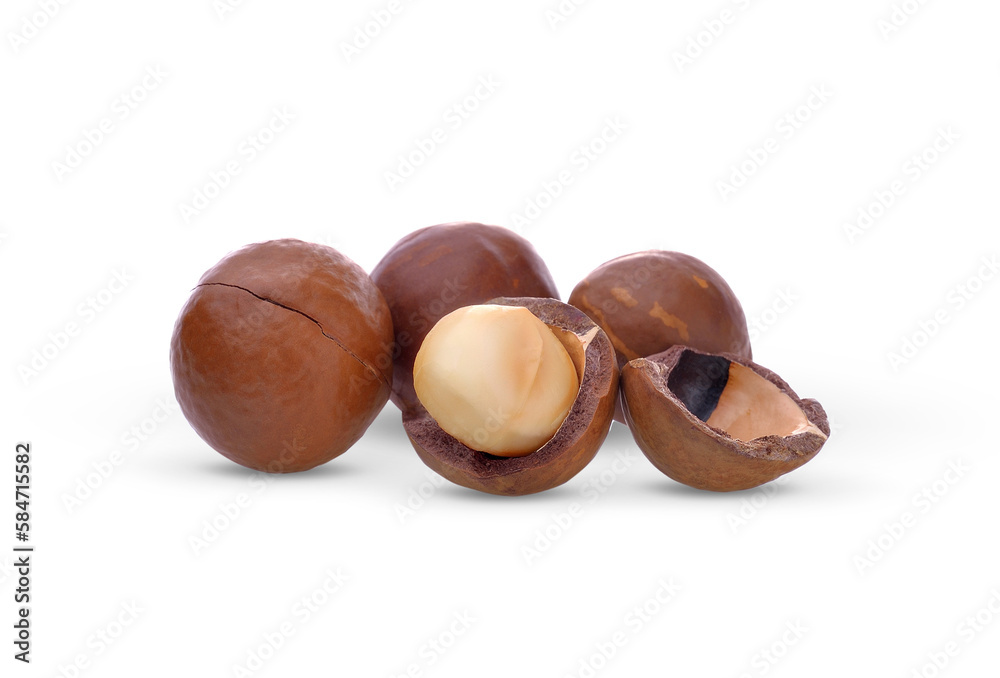 Macadamias nut on white background on transparent. Macadamias nut on white background on transparent.