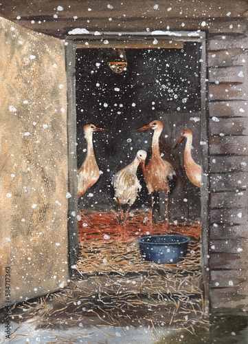 Watercolor illustration of four white storks who stayed for the winter and failed to fly to warmer climes.