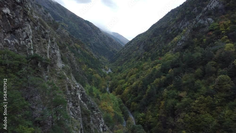 Forest Wooded mountain valley lush Forest Wooded mountain valley lush