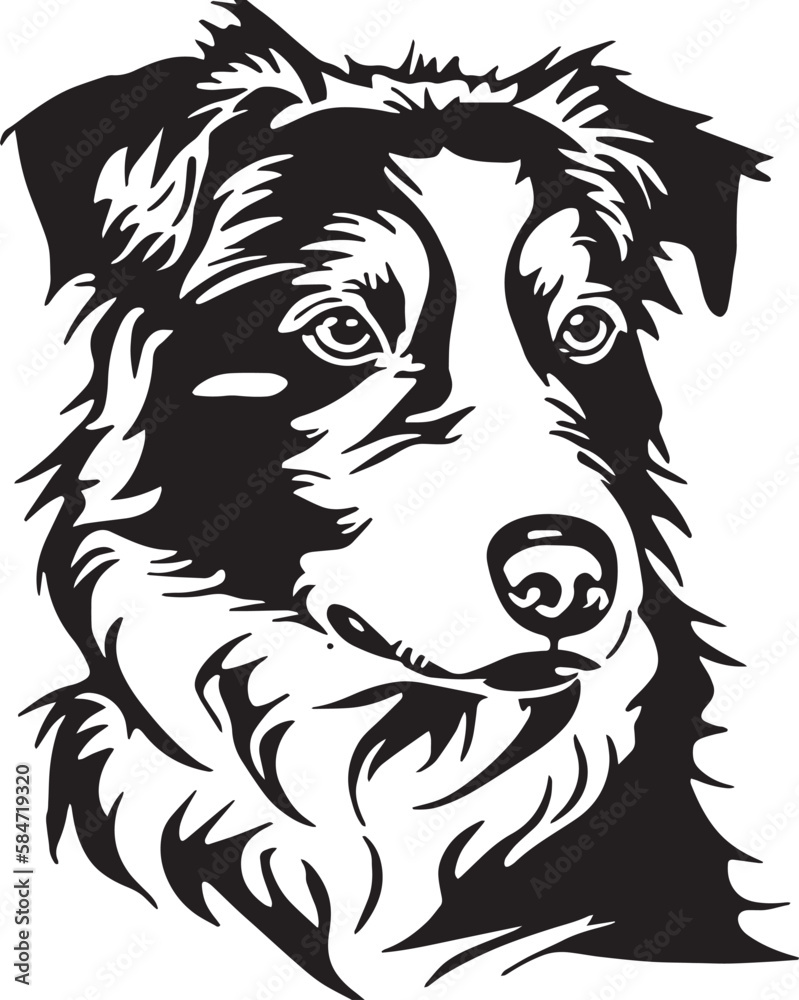 Fototapeta premium Border collie dog face isolated on a white background, SVG, Vector, Illustration. 