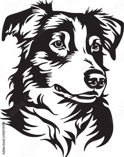 Border collie dog face isolated on a white background, SVG, Vector, Illustration.	