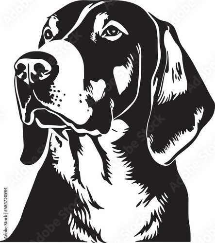 COONHOUND dog face isolated on a white background, SVG, Vector, Illustration.	