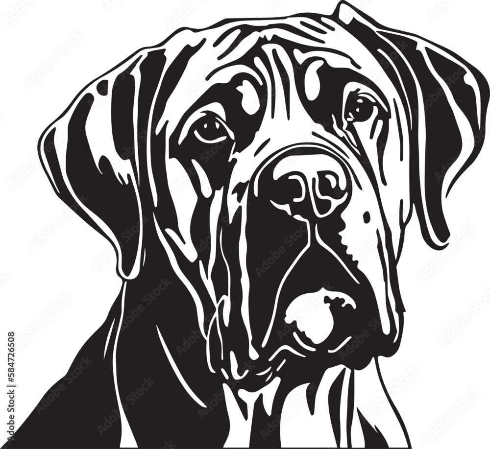 Cane Corso dog face isolated on a white background, SVG, Vector